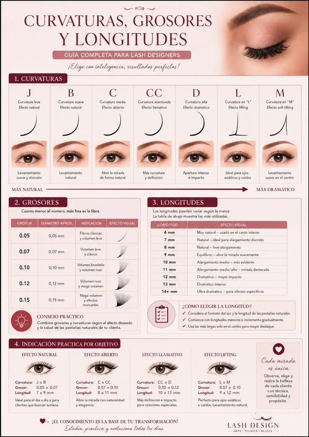 Guía visual en español de fibras y curvaturas